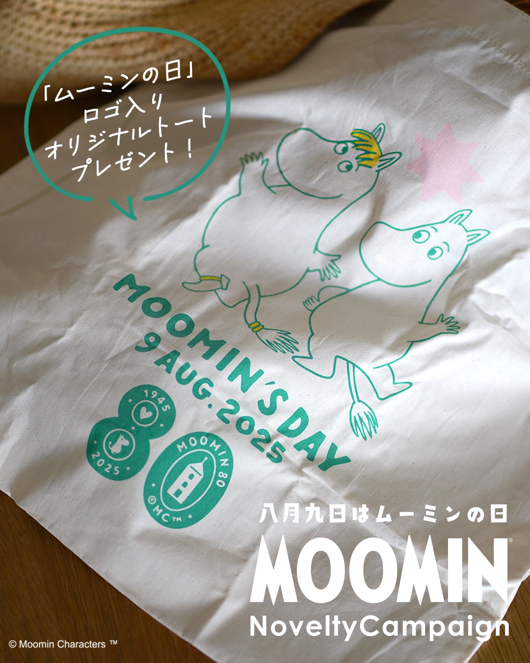 moomin_novelty01.jpg