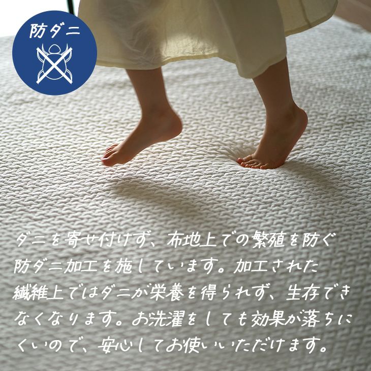 防音 ふかふか下敷き専用ラグ ふかぴたPLUS＜厚手＞ （115×170cm 1.5畳用） 防ダニ