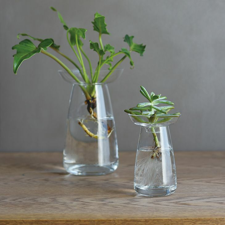 KINTO キントー AQUA カルチャーベース L（クリア） イメージ02