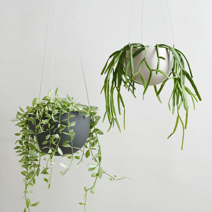 KINTOキントープラントポット201174mmベージュ(イメージ01)