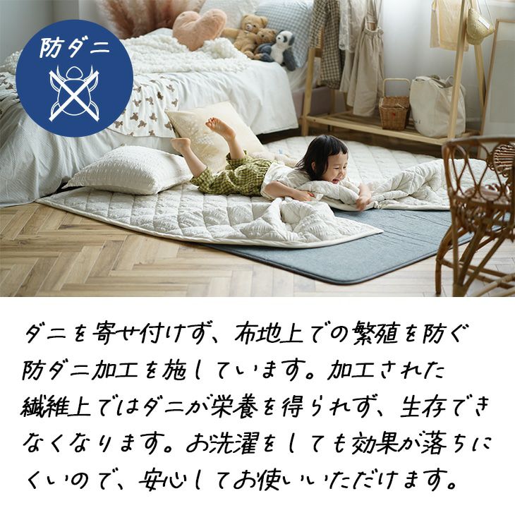 下敷き専用 ラグ ふかぴた高反発PREMIUM [極厚] (170×170cm)防ダニ