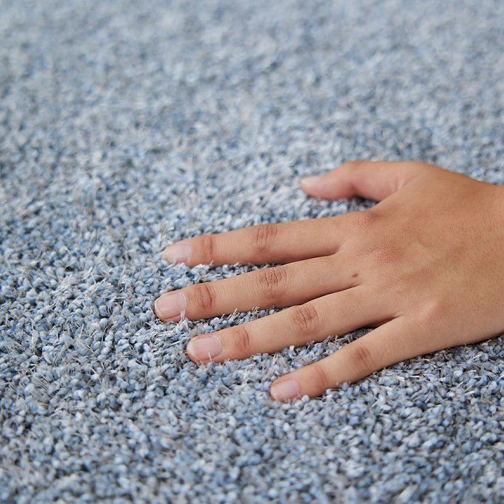 ルフレ（ディテール01）