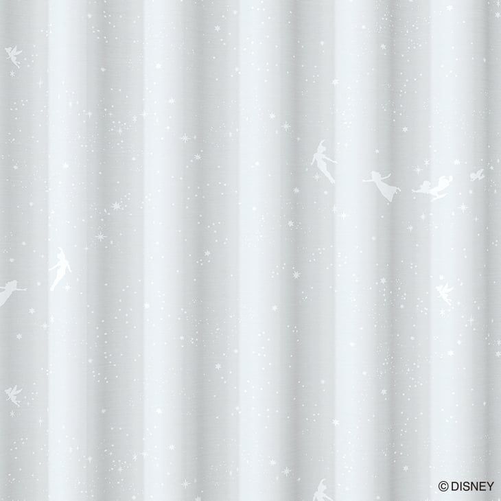フライインザスカイボイル（カラー）