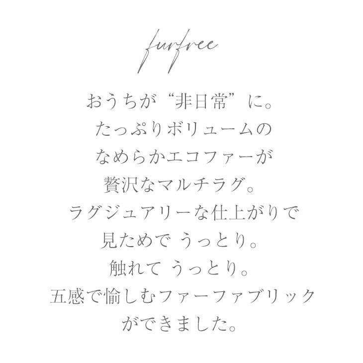 ふんわりエコファーラグナミナミファー（説明）