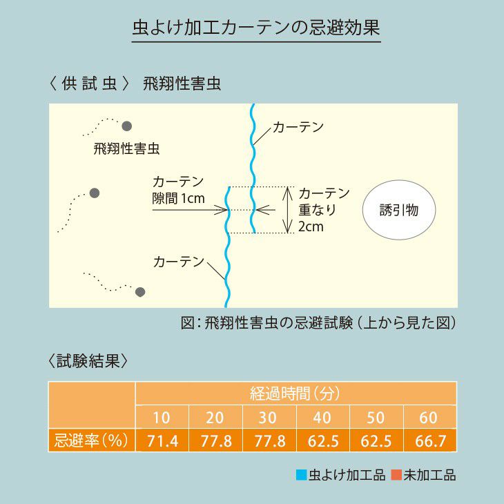 虫よけミラーレースカーテンカカノア（ディテール）