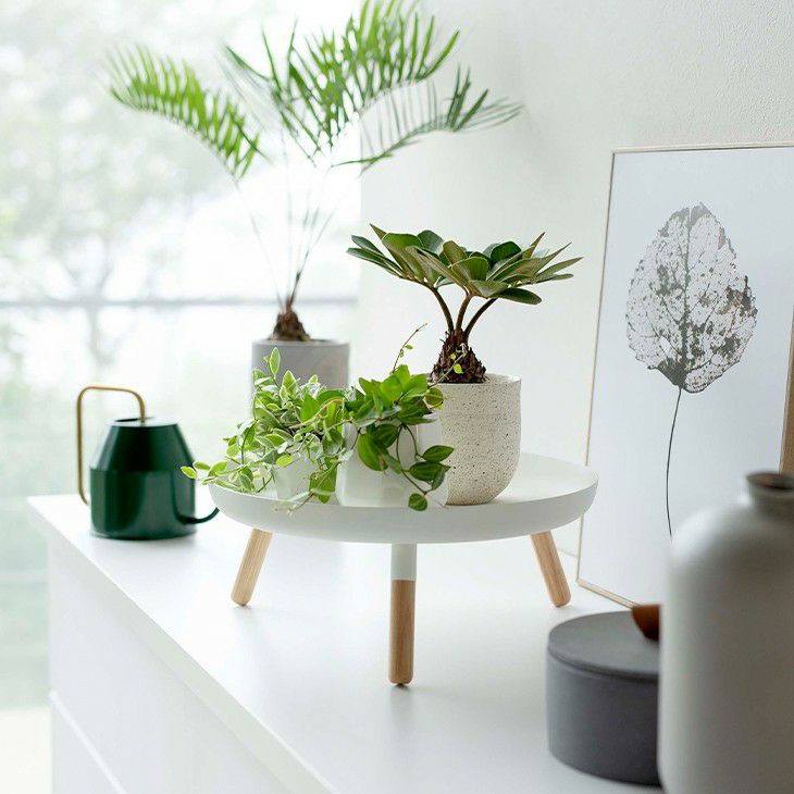 PLAINプレーン脚付きトレー(ホワイト)（イメージ01）