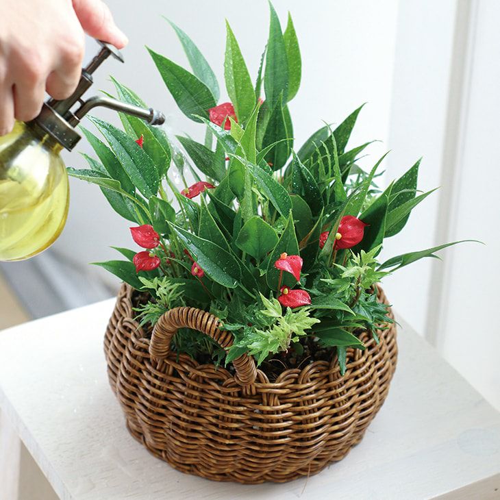 クレエユティルラウンドローバスケットS（カラー）