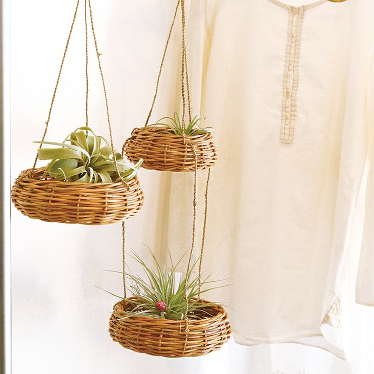 クレエ鉢カバーアラログハンギングバスケットL（イメージ）