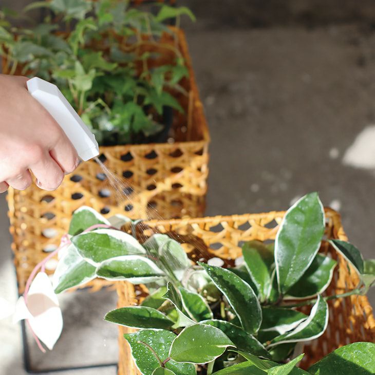 クレエポットスタンドS（カラー）