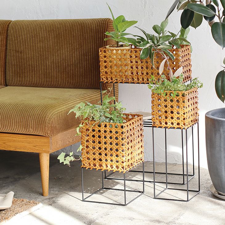 クレエポットスタンドL（イメージ）