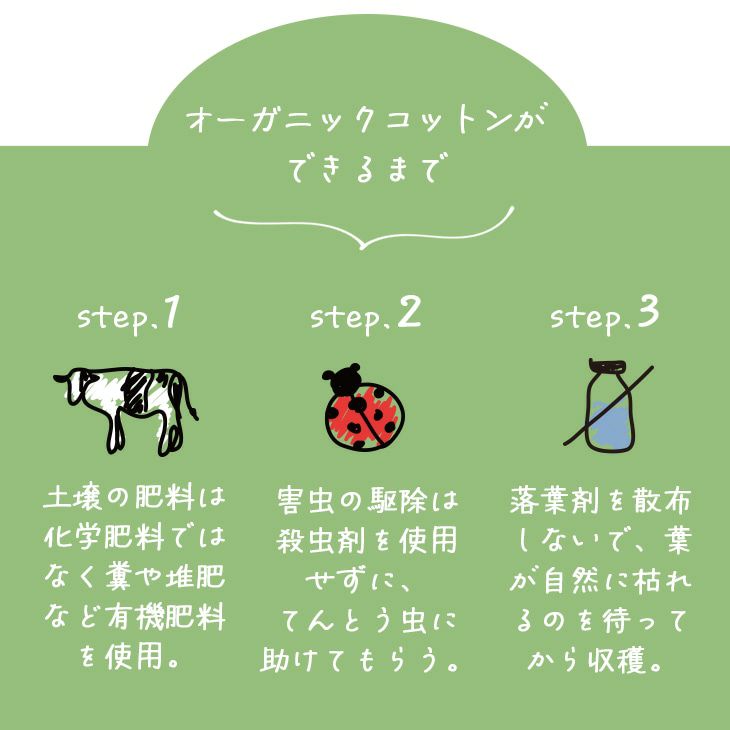 オーガニックコットンキルトケット（オーガニックコットン）