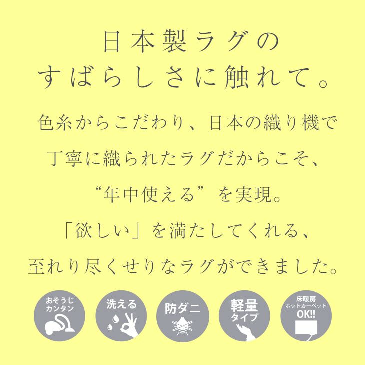 北欧スタイルラグ(イメージ)