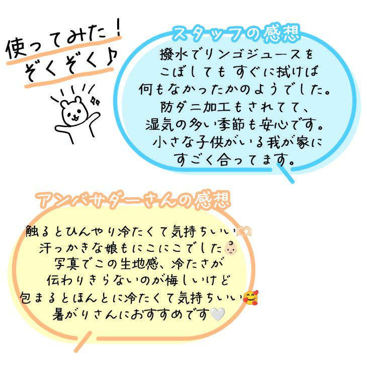 冷感ラグソルベキルト（レビュー）