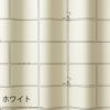 遮光カーテンPEANUTS/ピーナッツコミックグリッド（ホワイト）