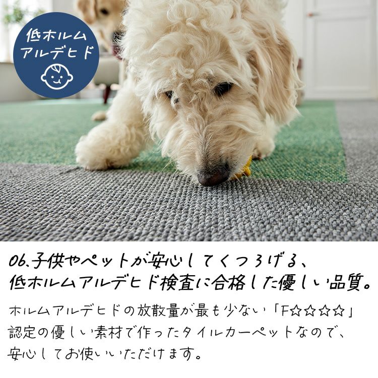 フローループ（低ホルムアルデヒド）