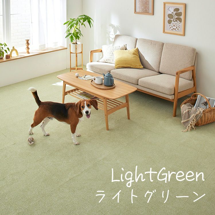 ソフトフィール（ライトグリーン）