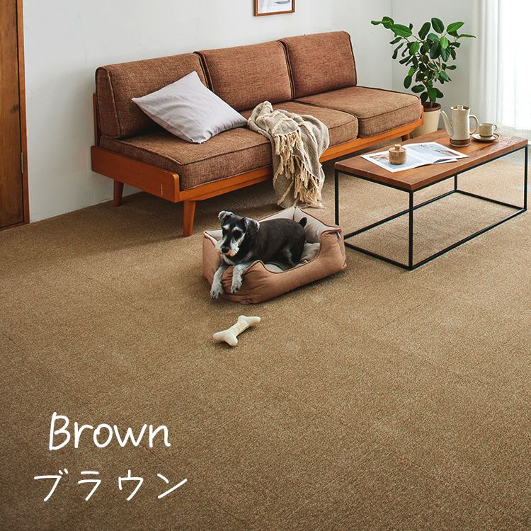 ソフトフィール（ブラウン）